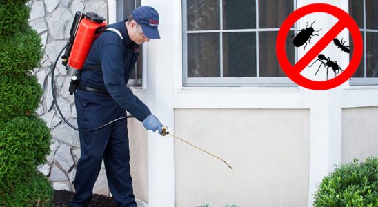 Digor Karınca İlaçlama böcek ilaçlama ve haşere kontrolü — ilaclama-tr.com
